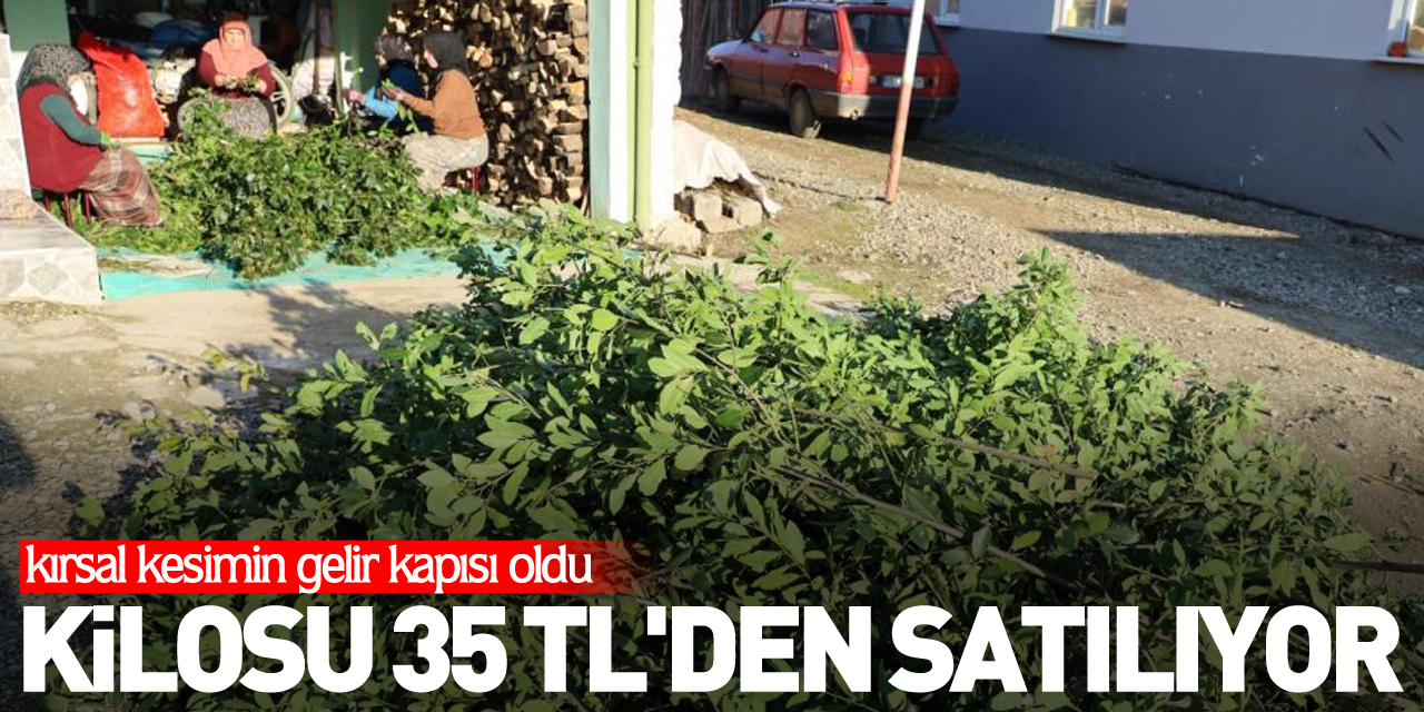 Kilosu 35 TL'den satılıyor