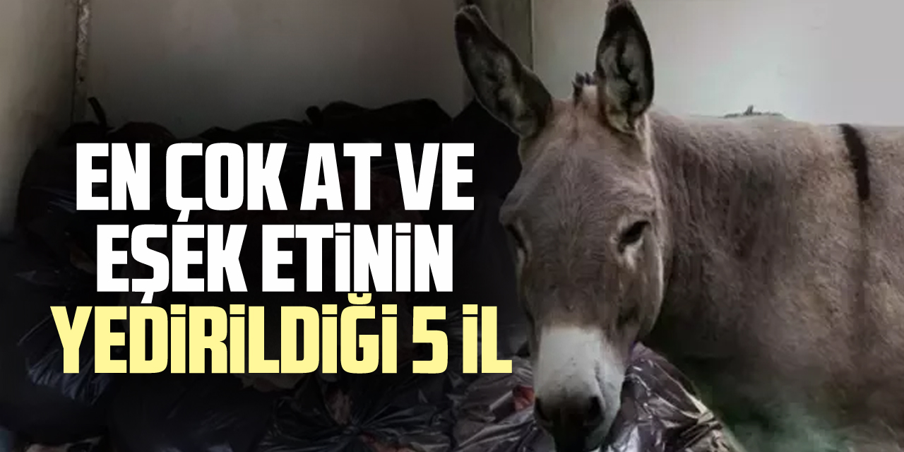 en çok at ve eşek etinin yedirildiği 5 il