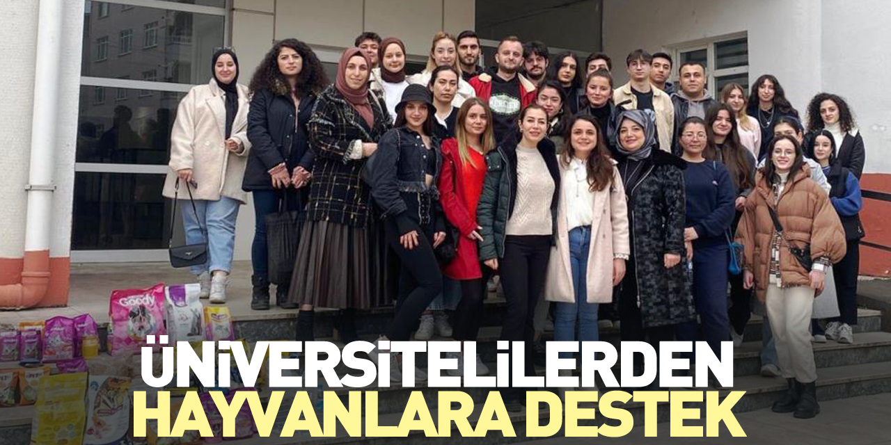 Üniversitelilerden hayvanlara destek