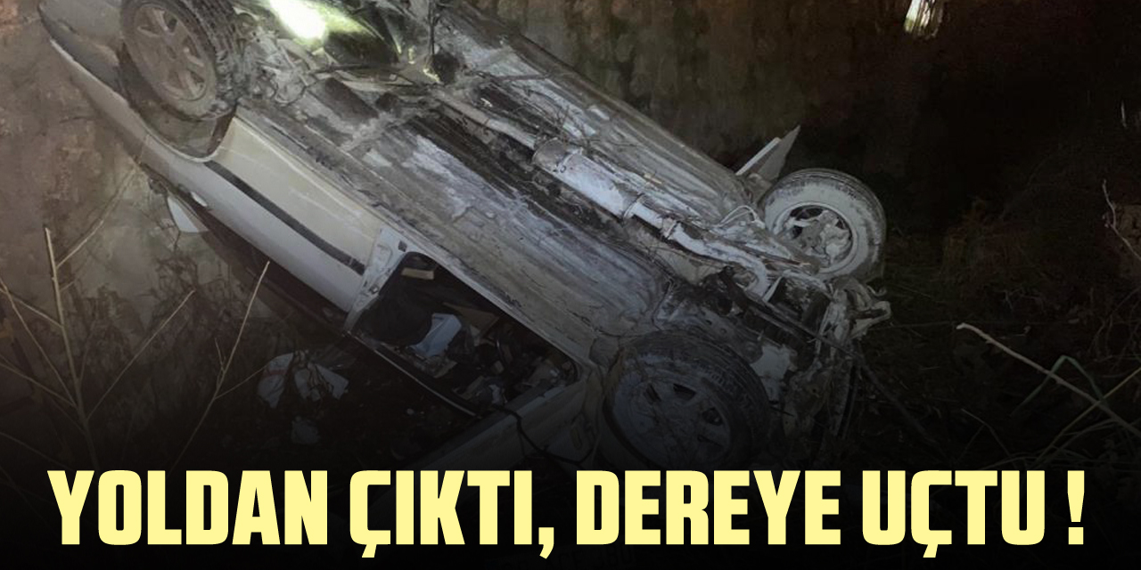 Yoldan çıktı, Dereye Uçtu !