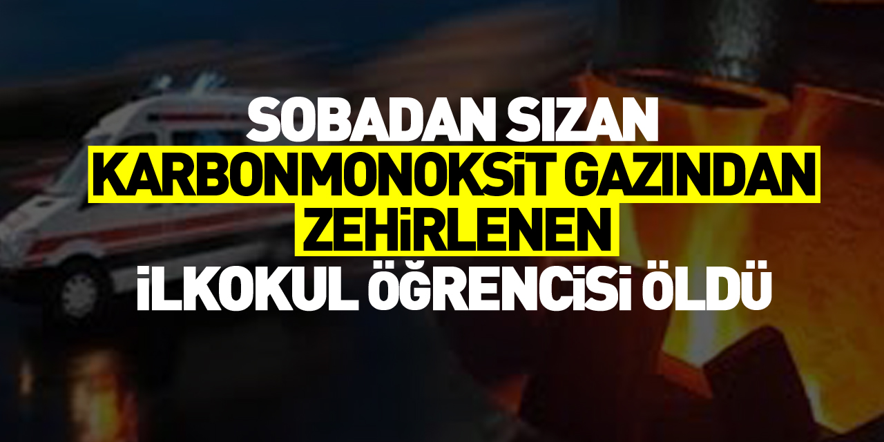 İlkokul öğrencisi karbonmonoksit gazından zehirlendi