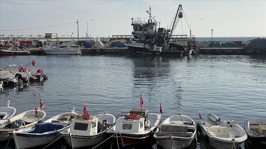 Balıkçılar yeni yılda hamsi ve çinekoptan umutlu