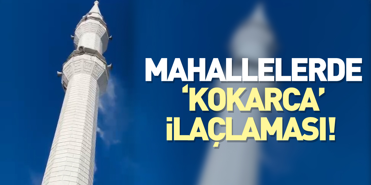 Mahallelerde ‘Kokarca’ ilaçlaması!