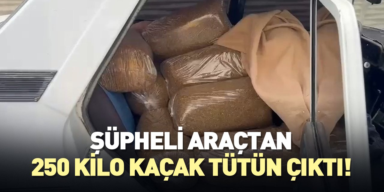 Araçtan 250 kilo kaçak tütün çıktı!