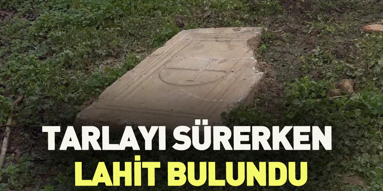 Tarlayı sürerken Lahit bulundu