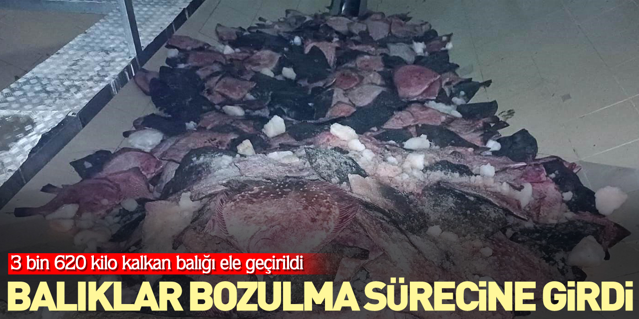 Balıklar bozulma sürecine girdi