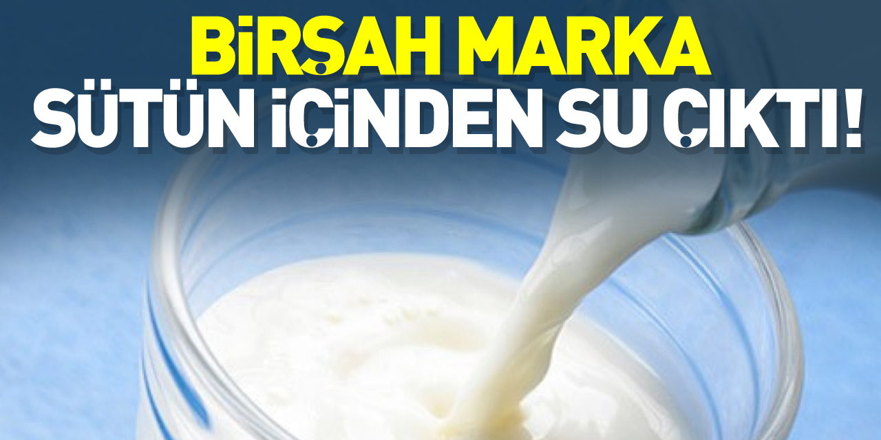 BİRŞAH MARKA SÜTÜN İÇİNDEN SU ÇIKTI!