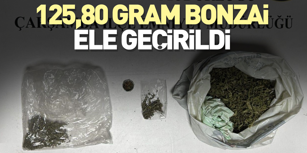 125,80 gram bonzai ele geçirildi