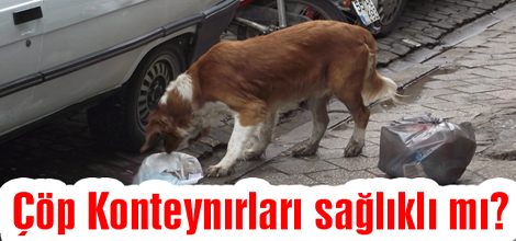 Çöp Konteynırları sağlıklı mı?