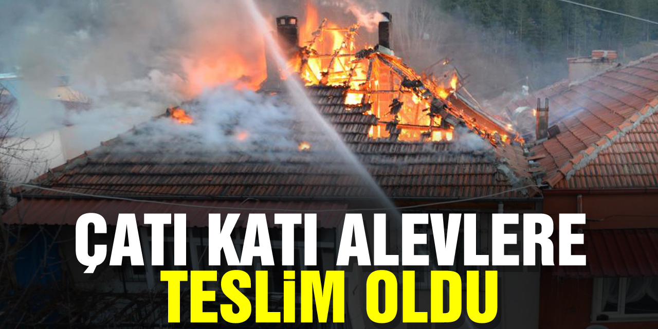 Çatı katı alevlere teslim oldu