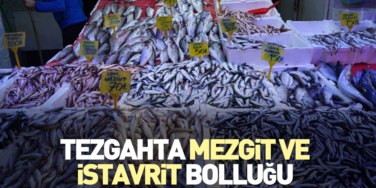 Tezgahta mezgit ve istavrit bolluğu