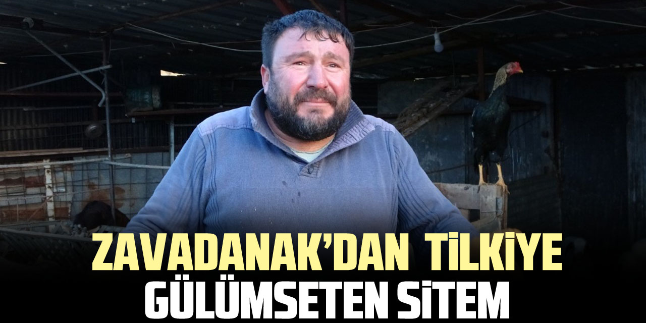 Zavadanak’dan  tilkiye gülümseten sitem