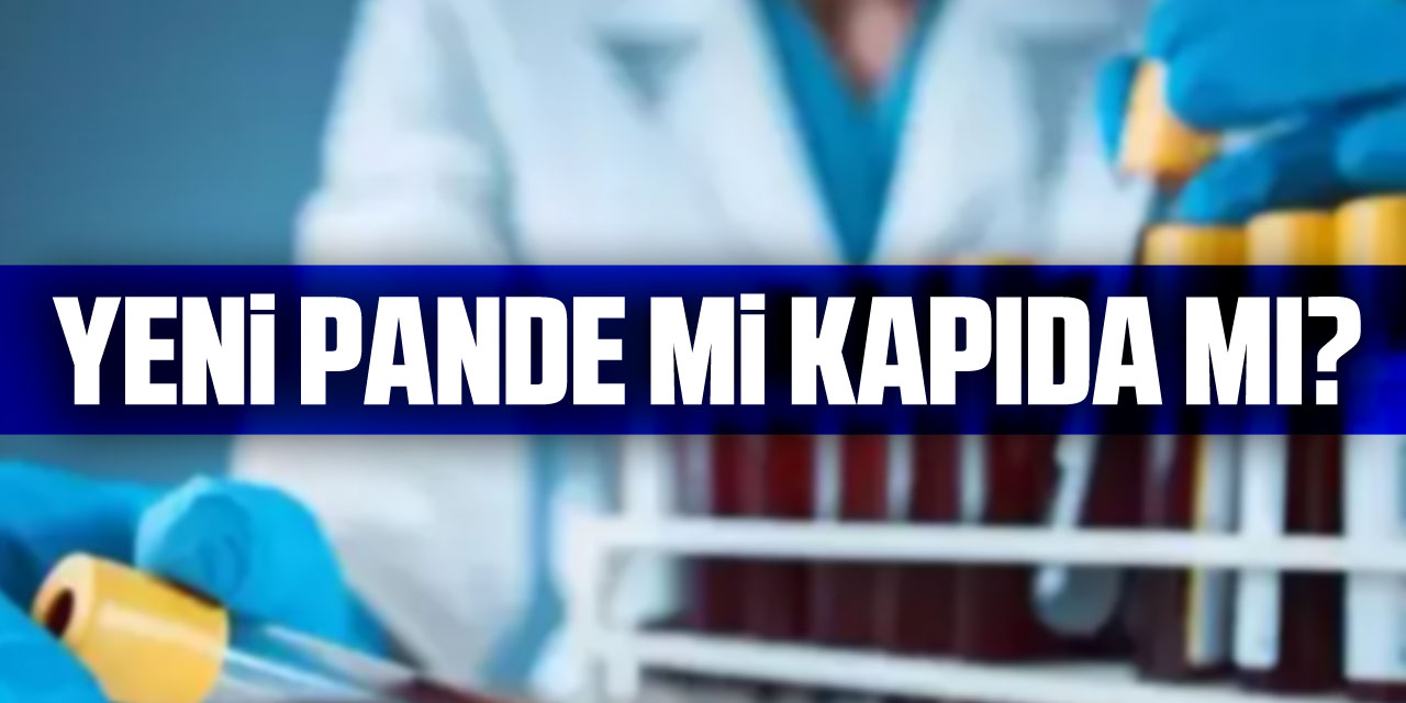 YENi PANDE Mi KAPIDA MI?