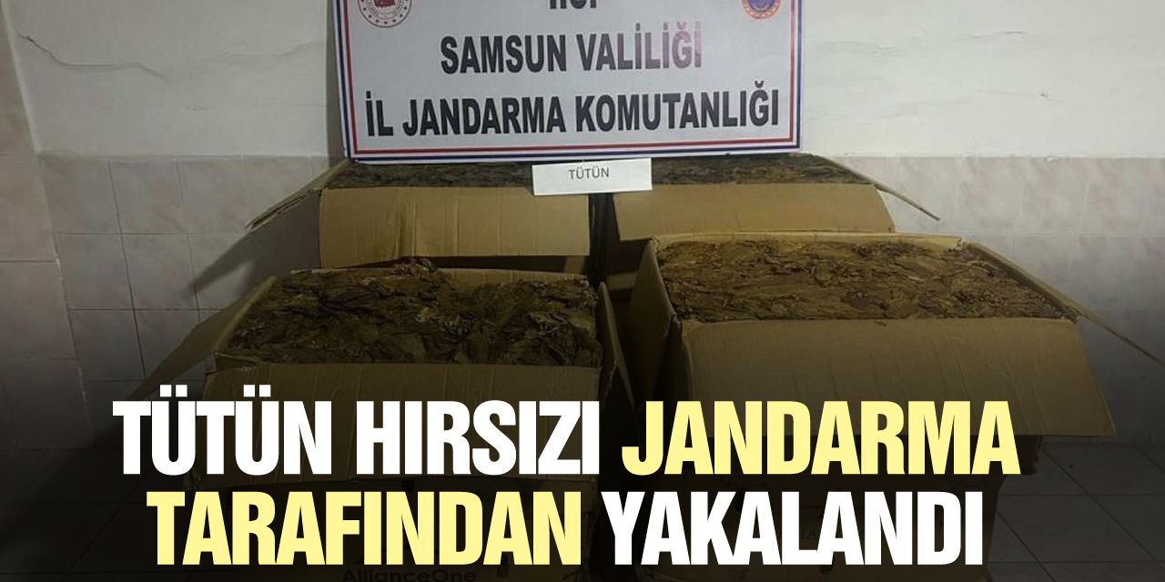 TÜTÜN HIRSIZI YAKALANDI