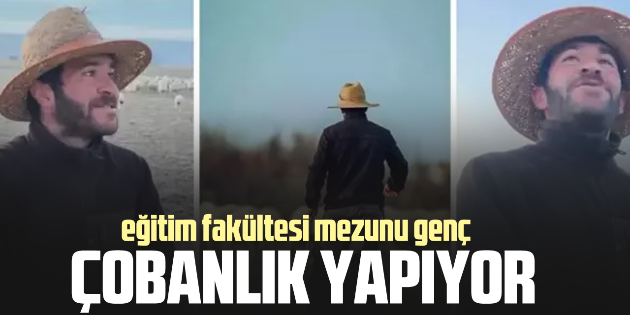 Eğitim fakültesi mezunu çobanlık yapıyor