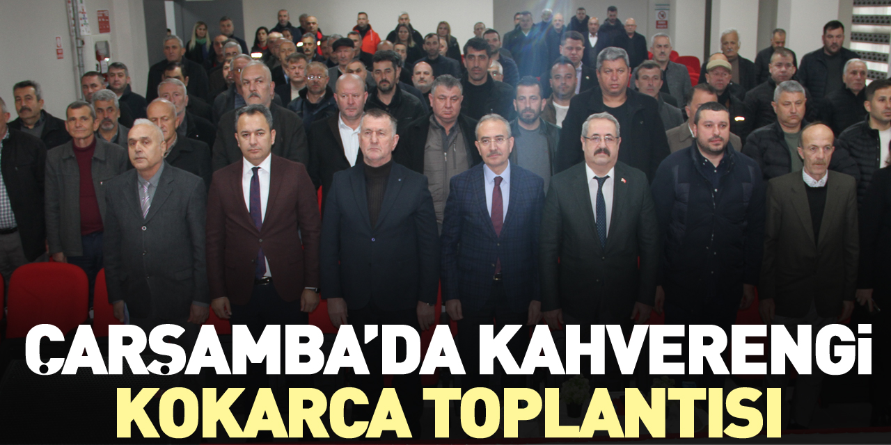 ÇARŞAMBA’DA KAHVERENGİ KOKARCA TOPLANTISI