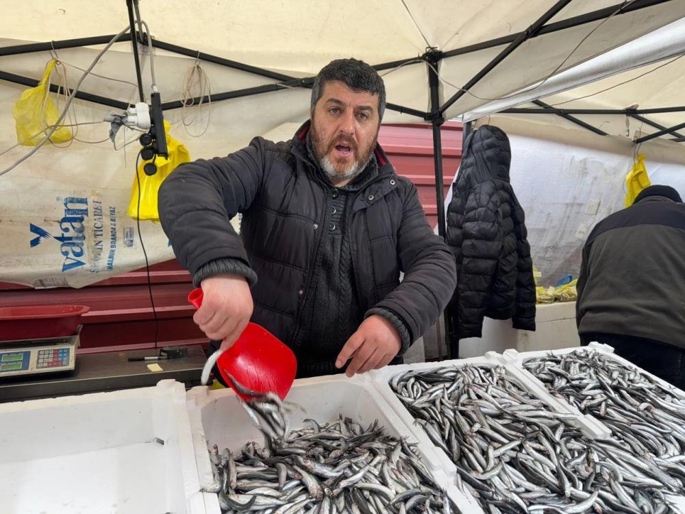 Zonguldak’ta hamsi 100 liradan alıcı buldu