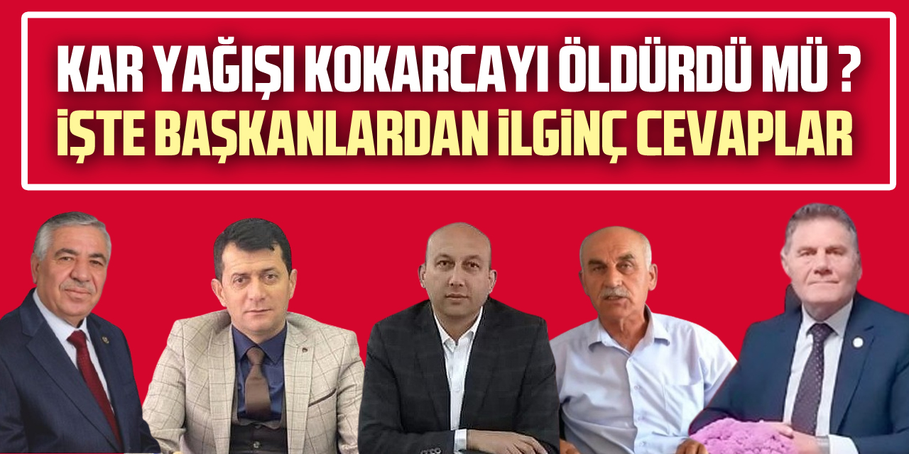 KAR YAĞIŞI KOKARCAYI ÖLDÜRDÜ MÜ ?  İŞTE BAŞKANLARDAN İLGİNÇ CEVAPLAR