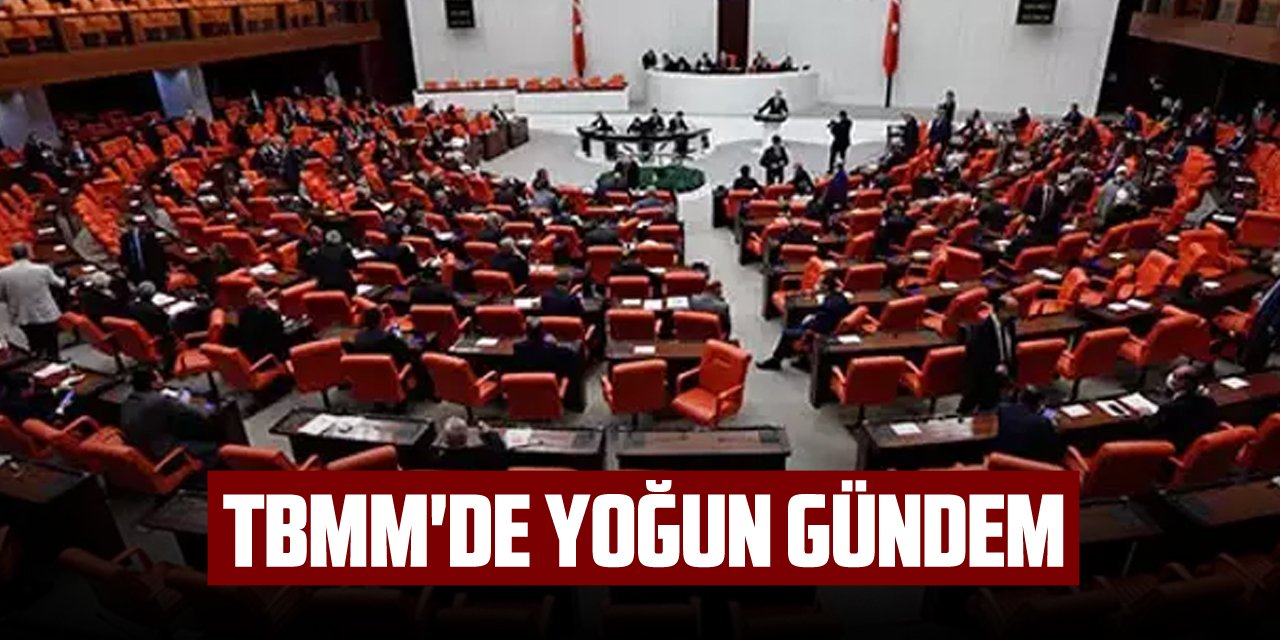 TBMM'de yoğun gündem