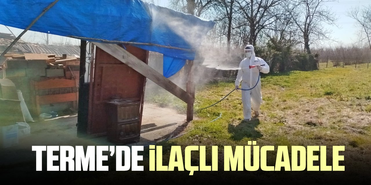 Terme'de kahverengi kokarcayla ilaçlı mücadele !