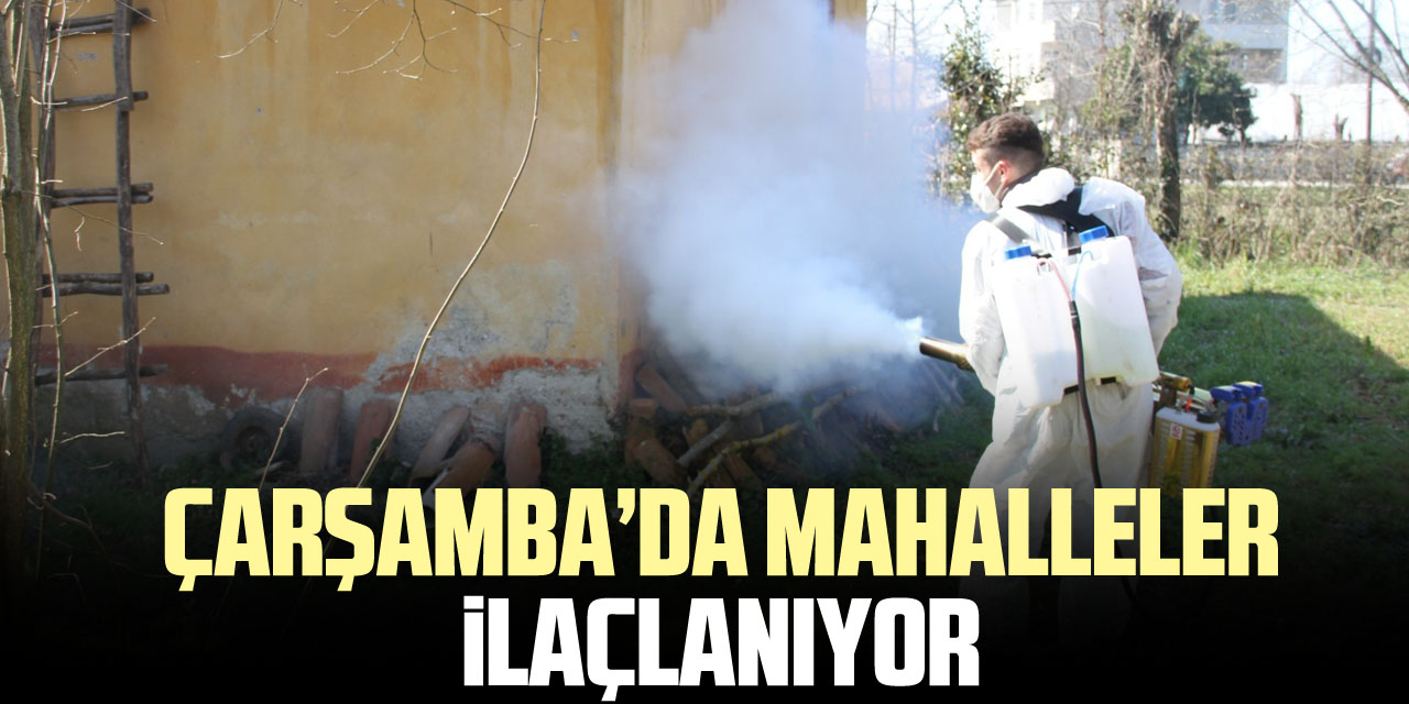 Çarşamba’da mahalleler ilaçlanıyor