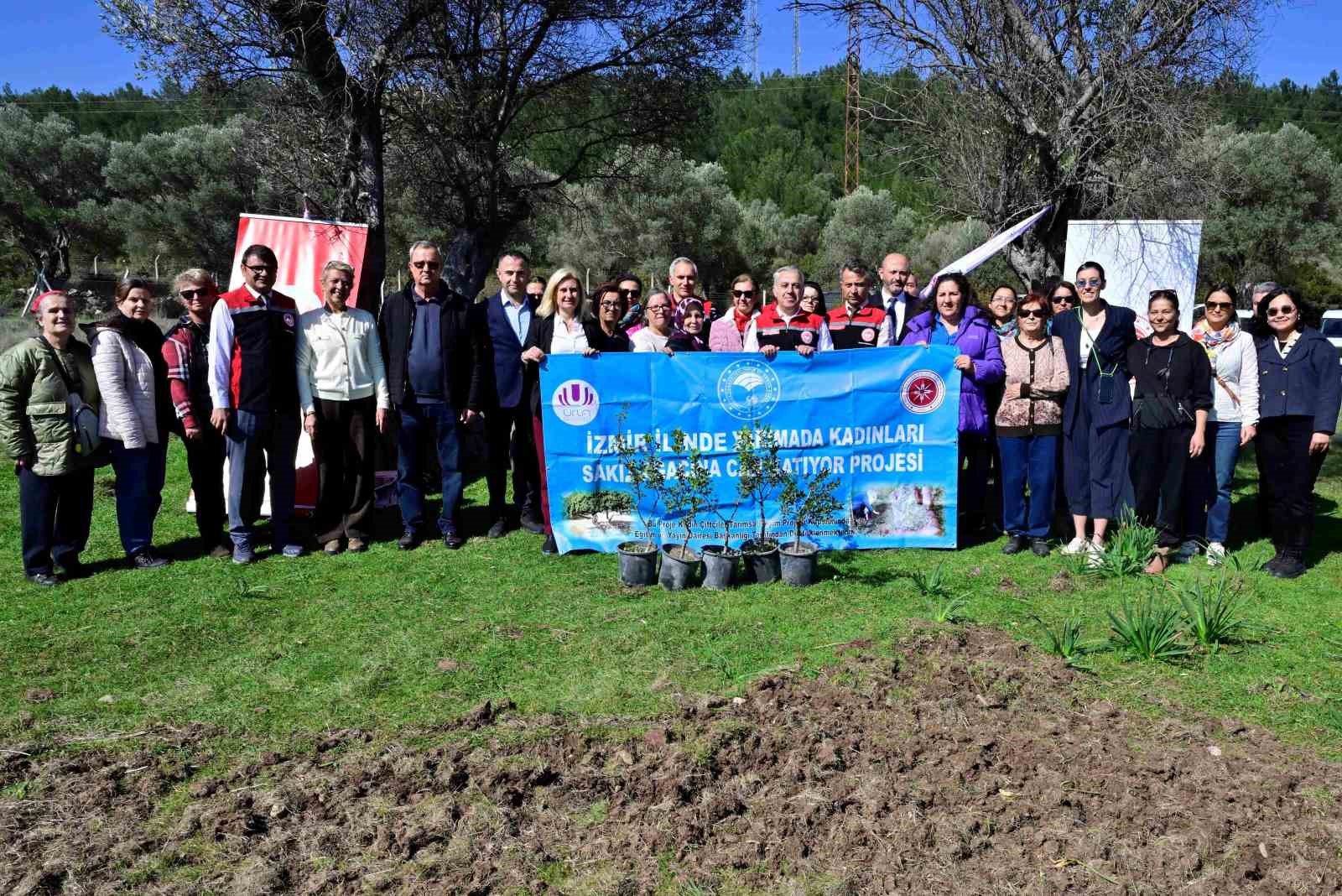 Yarımada kadınları sakız ağacı