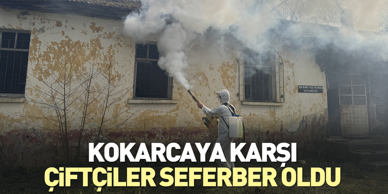 Kokarcaya karşı çiftçiler seferber oldu