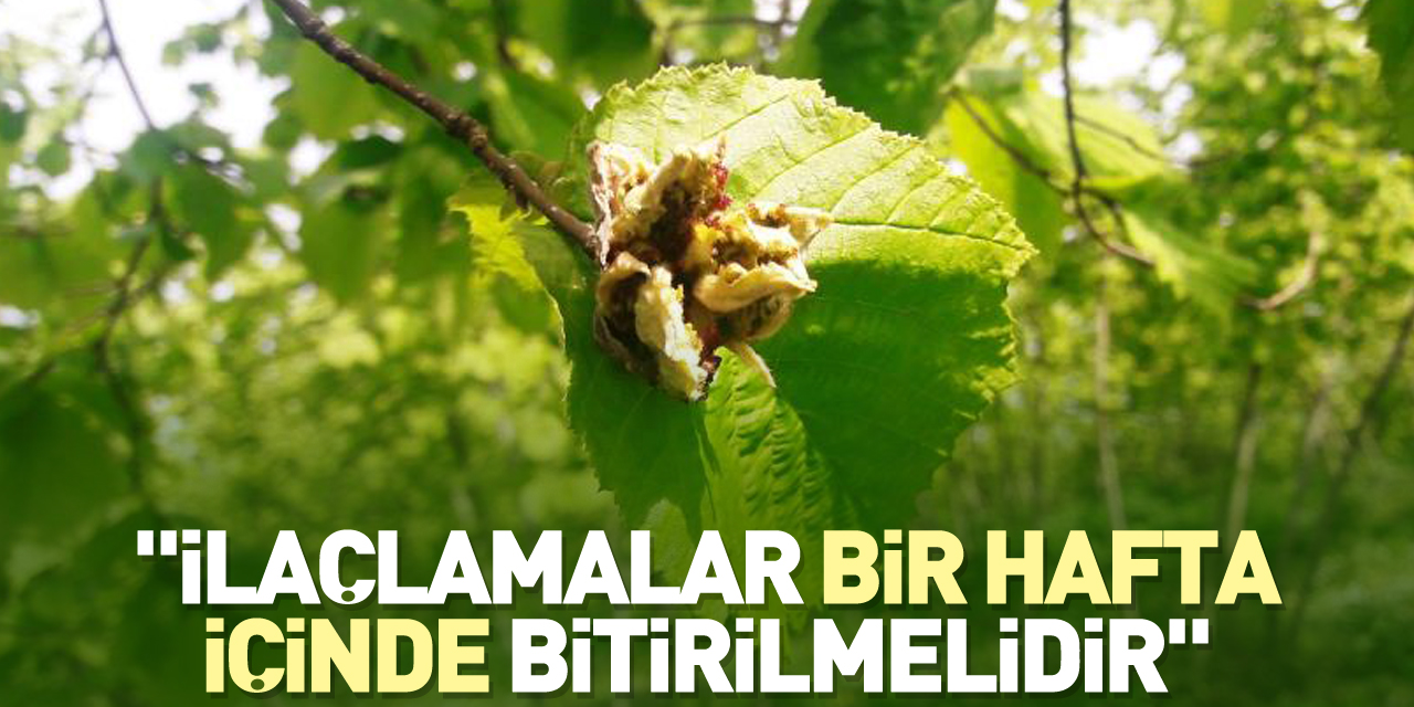 "İlaçlamalar bir hafta içinde bitirilmelidir"