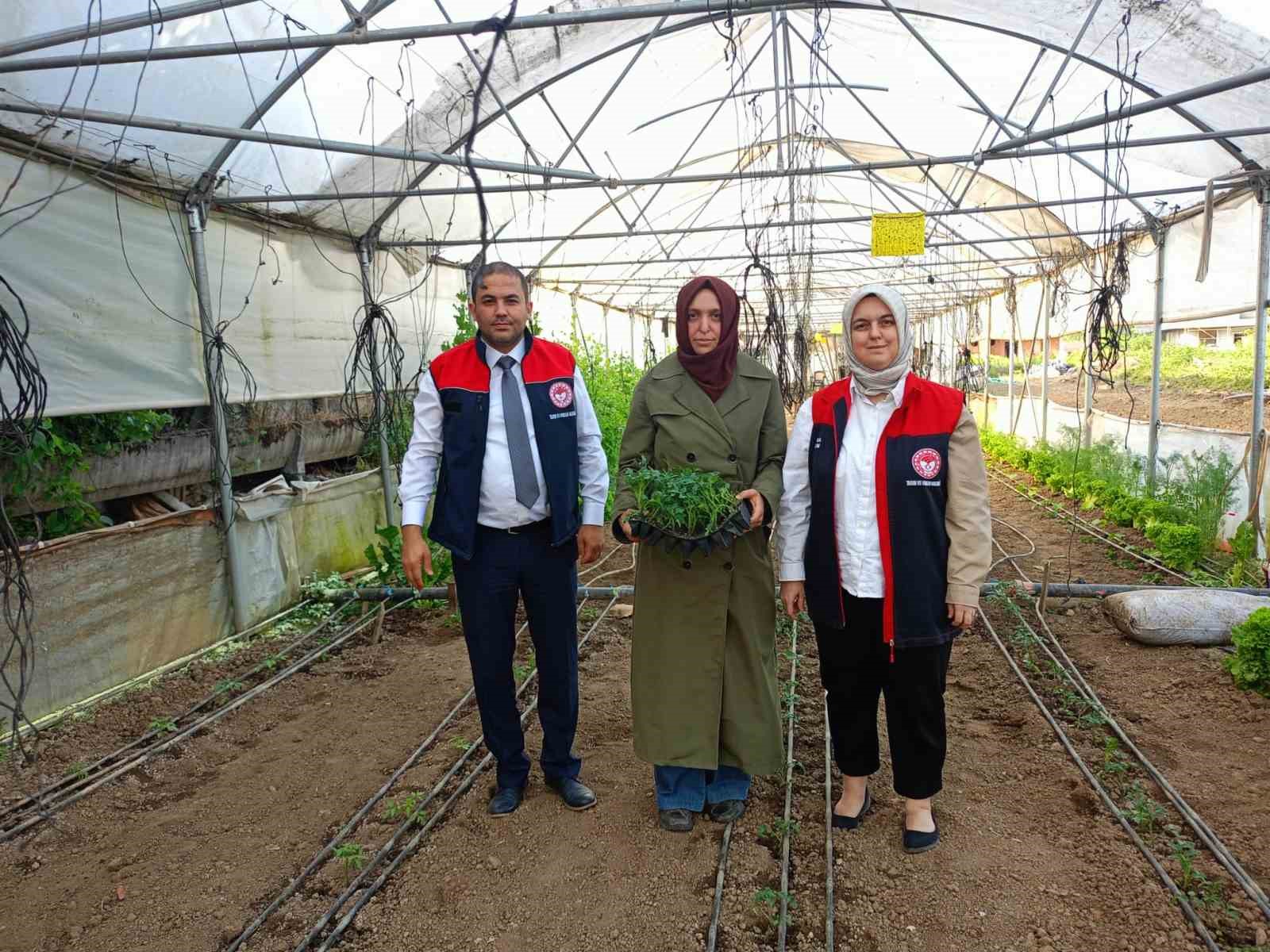 Kadın çiftçilerin seraları incelendi