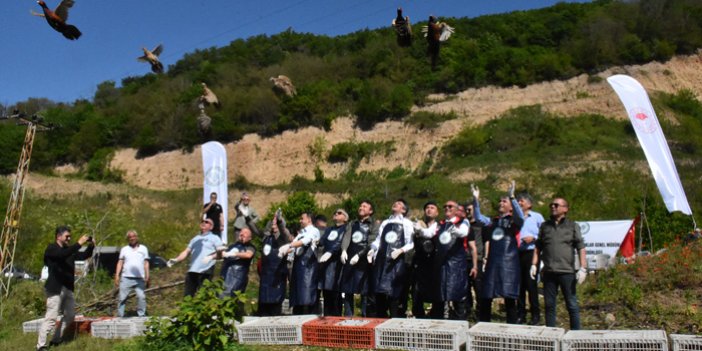 Doğaya 800 sülün salındı