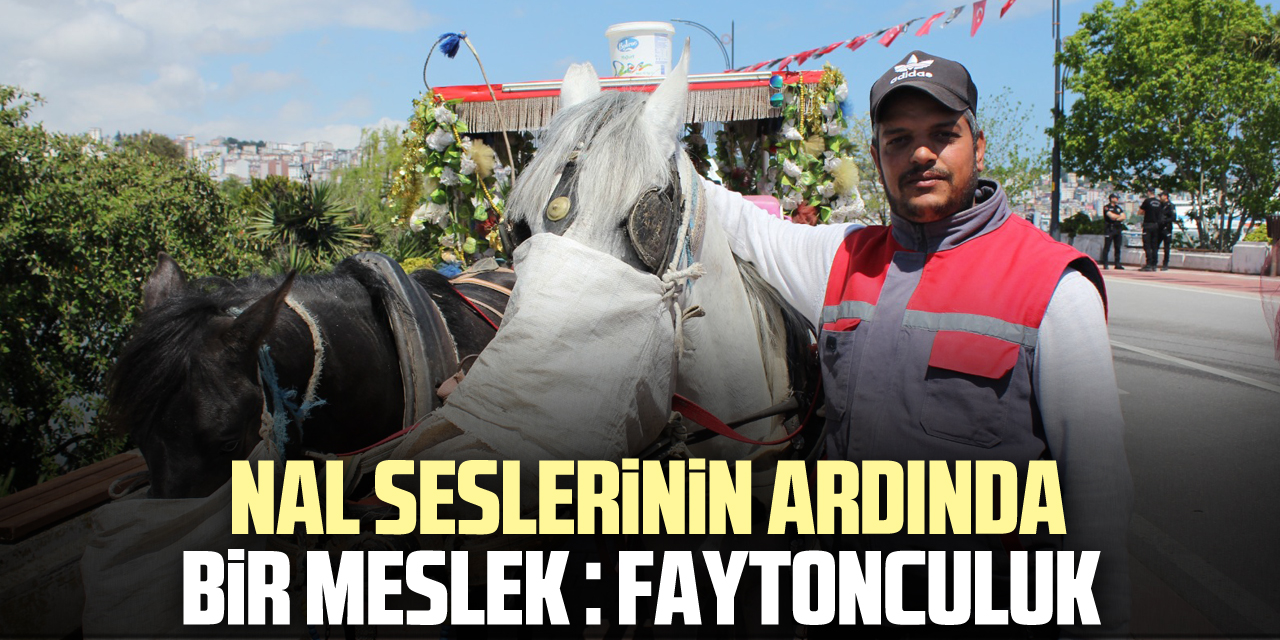 NAL SESLERİNİN ARDINDA BİR MESLEK : FAYTONCULUK