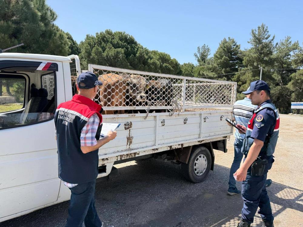 Kurban Bayramı nedeni ile ilçe tarım ekipleri sahada