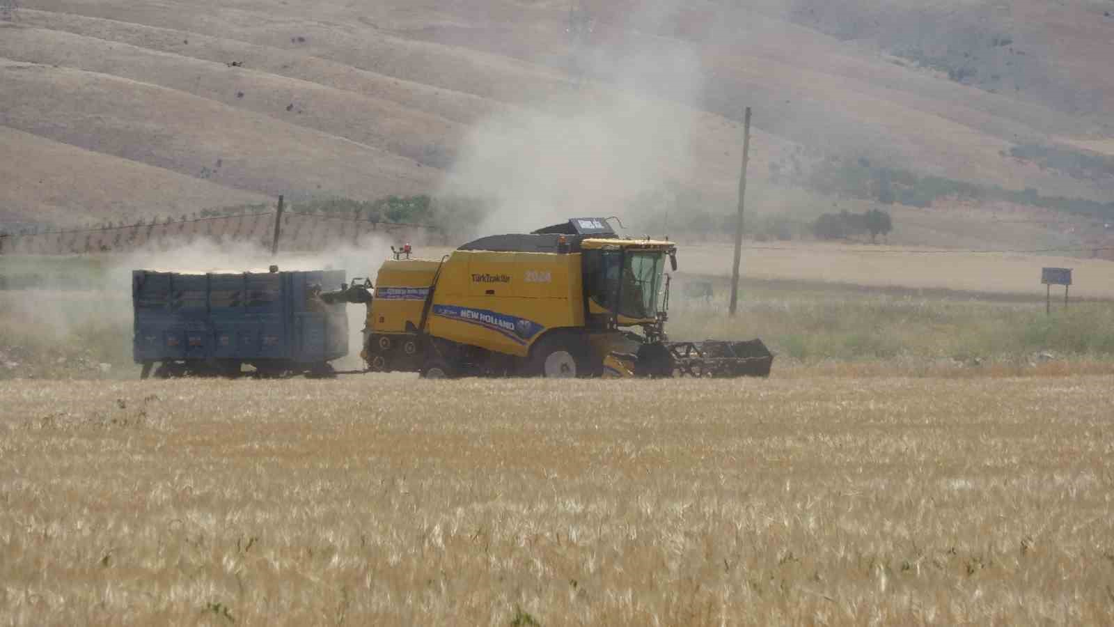 Adıyaman’da hububat hasadı