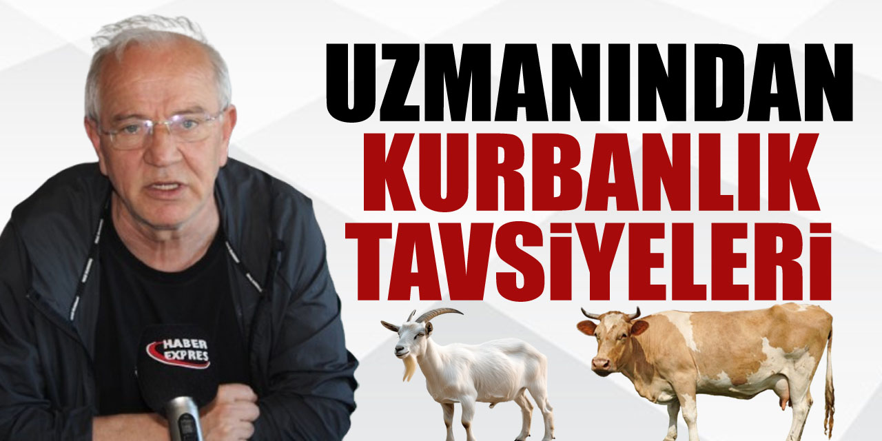 Uzmanından Kurbanlık tavsiyeleri