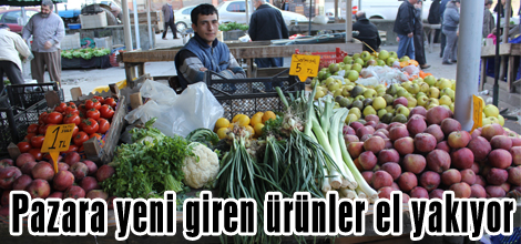 Pazara yeni giren ürünler el yakıyor