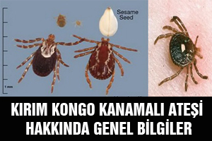 KIRIM KONGO KANAMALI ATEŞİ HAKKINDA GENEL BİLGİLER