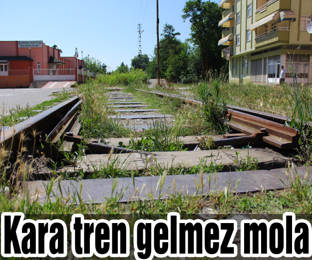 Kara tren gelmez mola