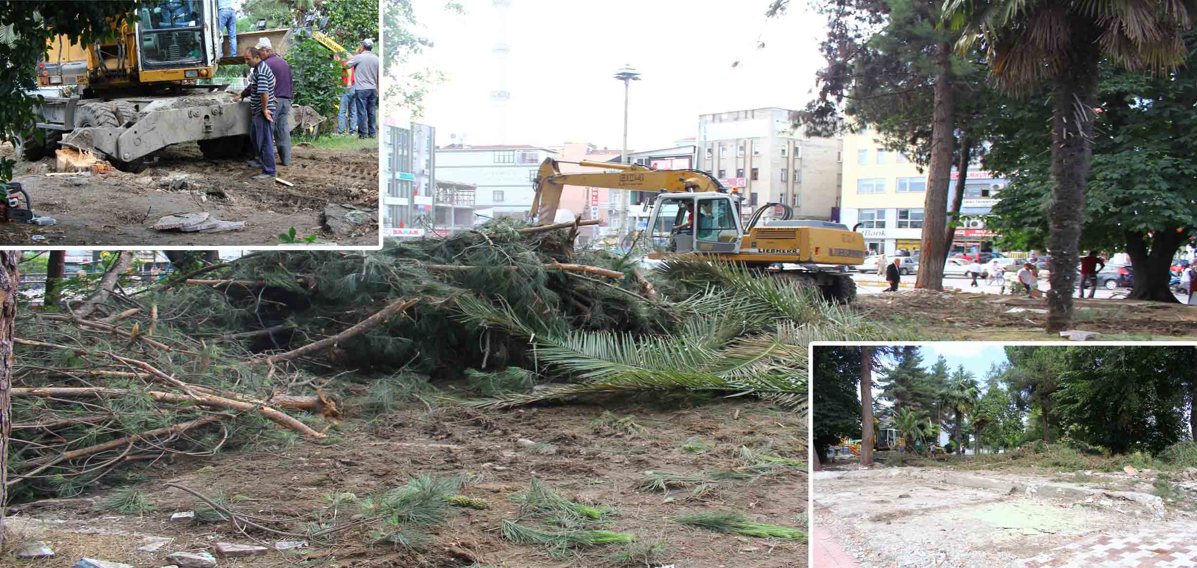 Gazi Parkı Tıraş oldu