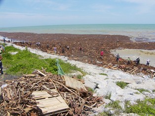 Karadeniz “Odun Deniz” Oldu