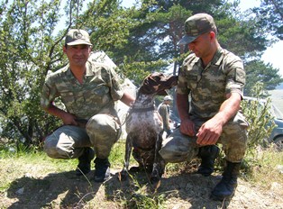 Bomba Arama Köpeği ilgi odağı oldu