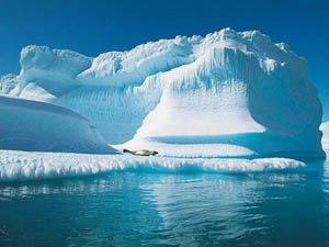 Kuzey Buz Denizinde rekor erime