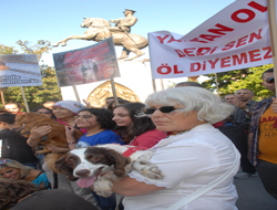 Hayvanseverler Tasarıyı Protesto Etti