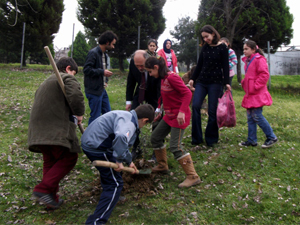 Samsun’a Zeytin Fidanı Dikildi