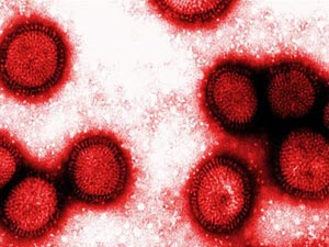 Dünya Sağlık Örgütünden virüs uyarısı
