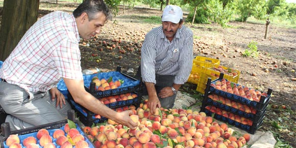 İLK ÜRÜN TAT VERMEDİ