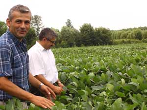 ÇARŞAMBA OVASI’NDA SOYA ÜRETİMİ %50 ARTTI