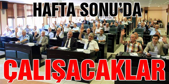 İl Genel Meclisi Hafta Sonu Çalışacak