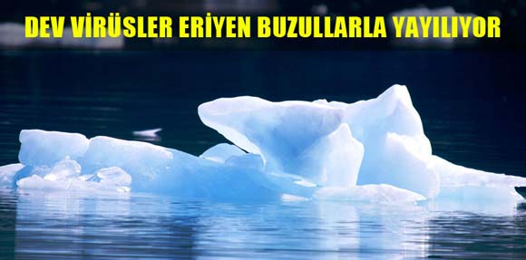 Doç.Dr. Oğuz Özyaral, Dev virüsler eriyen buzullarla yayılıyor