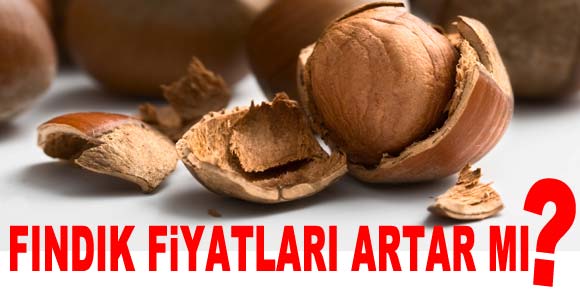 Fındık fiyatları artar mı?