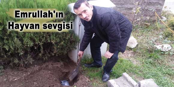 Emrullahın Hayvan sevgisi